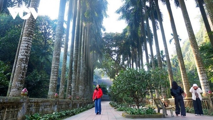 Cổng tam quan và hàng cau vua thẳng tắp bên trong khuôn viên chùa Bảo Đài.