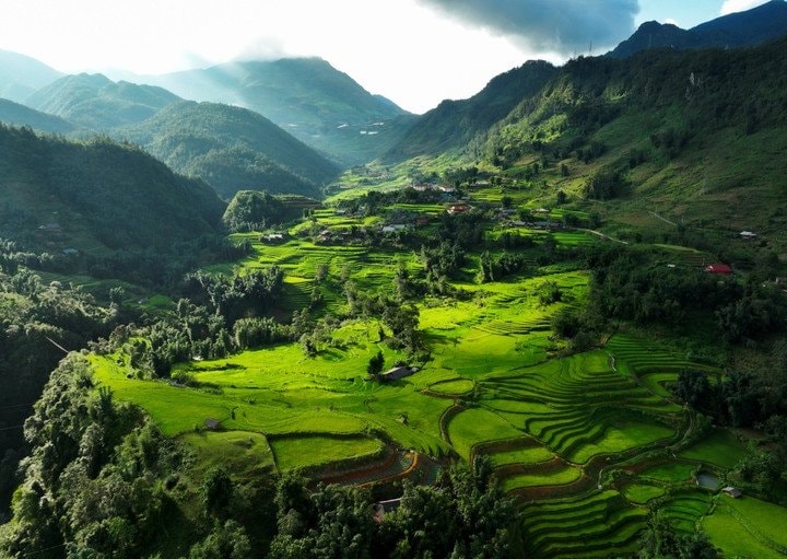Vẻ đẹp mềm mại của những thửa ruộng bậc thang tại vùng núi Sa Pa