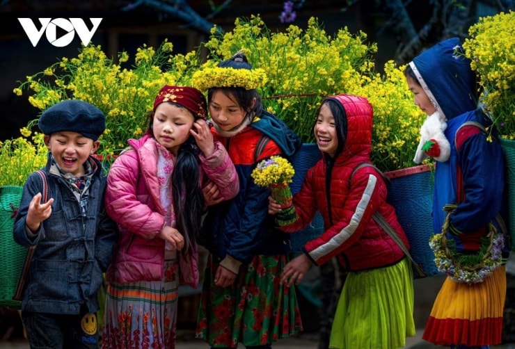 Trẻ em Hà Giang với gùi hoa cải vàng trên lưng