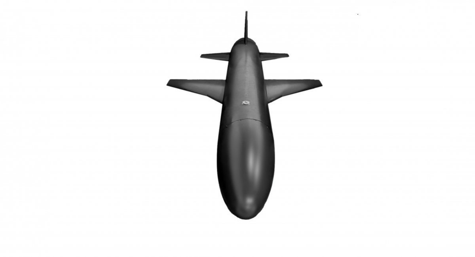 Mô phỏng tên lửa lai drone Palianytsia