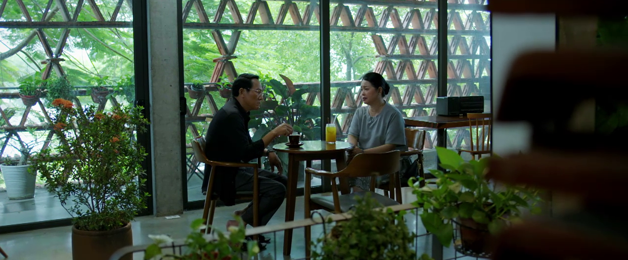 Gia đình trái dấu - Tập 20: Mọi lời khuyên lúc này đều vô nghĩa, bà Ánh vẫn quyết ly hôn - Ảnh 2.