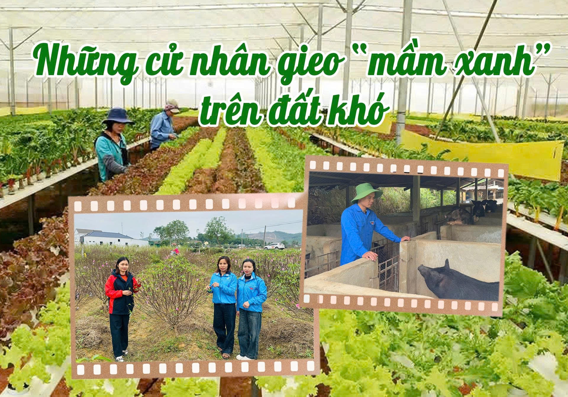 ảnh bìa cử nhân gieo mầm xanh