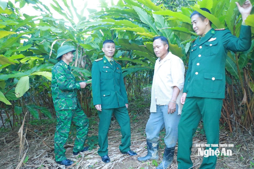 Cán bộ Đồn biên phòng Tam Hợp trao đổi với hộ gia đình về kinh nghiệm mở rộng diện tích cây bo bo. Ảnh KL