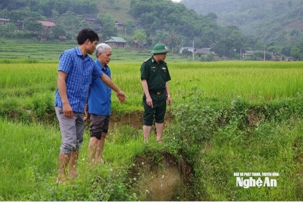 Đồng chí Hồ Xuân Tuyến
