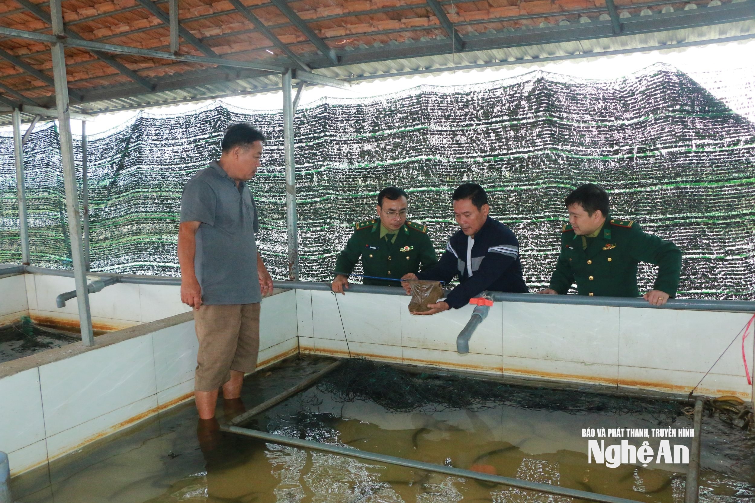 Mô hình nuô lương của ông Le Điện Xóm 5 Hải Châu