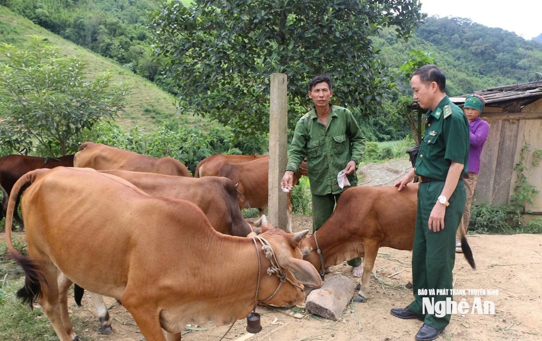 Nhờ sự giúp đỡ của đảng viên quân hàm xanh, gia đình ông Xồng Nhìa Lỳ ở xã Tam Thái đã vươn lên thoát nghèo. Ảnh KL