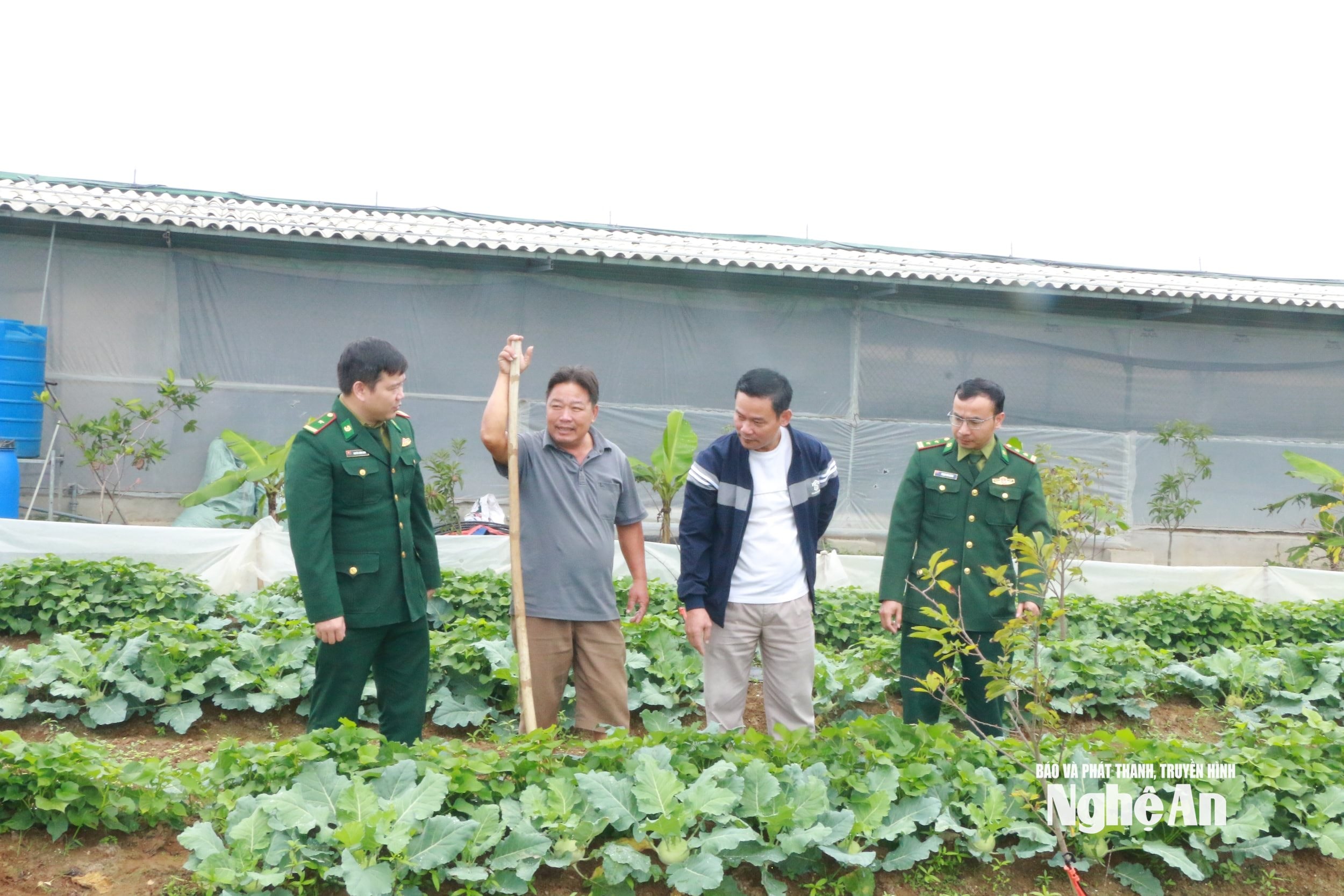 Thiếu tá Nguyễn Xuân Luân( ngoài cùng) bên trái cùng chỉ huy đơn vị trao đổi về sản xuất rau màu với cán bộ và người dân xóm 5, xã Hải Châu. Ảnh KL