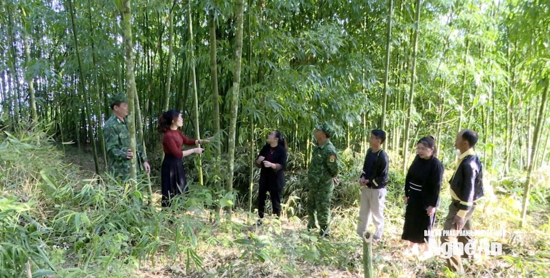 Trung tá Bùi Đức Long - Đồn Biên phòng Tri