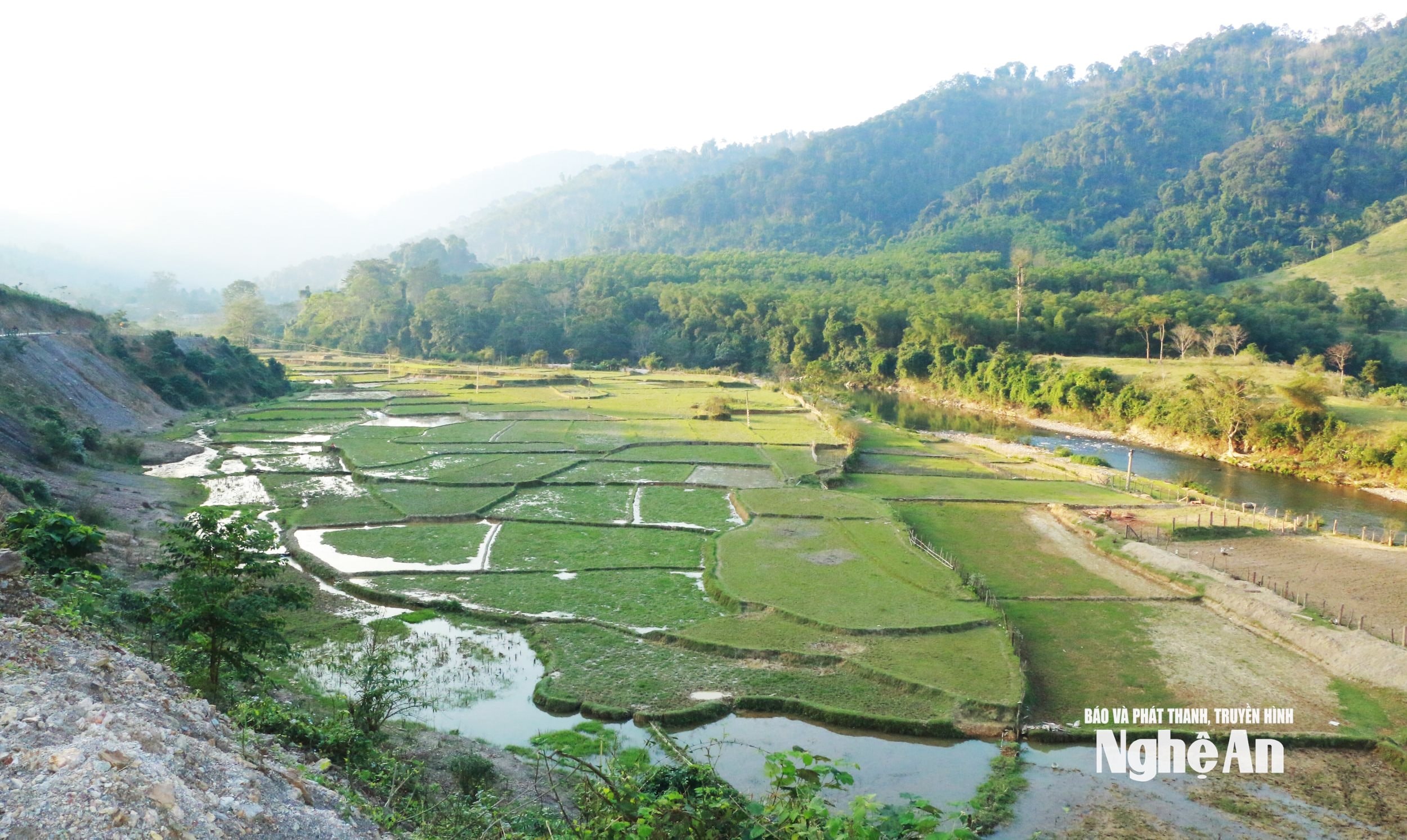 Từ chỗ sản xuất manh mún, phụ thuộc nhiều vào hỗ trợ của Nhà nước, nay bà con đã biết chủ động trồng lúa nước. Ảnh KL