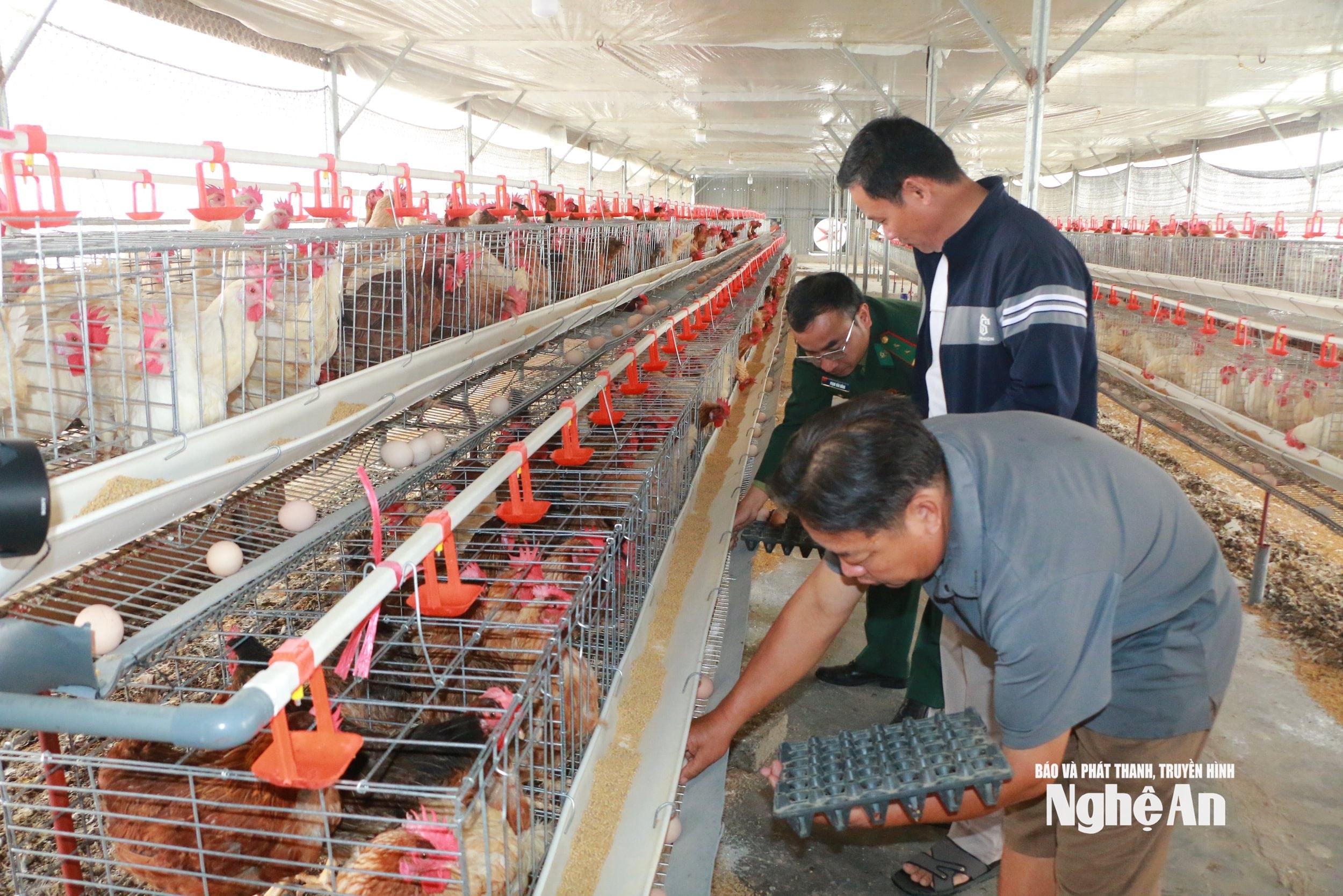 Với sự giúp đỡ của đảng viên biên phòng phụ trách hộ, gia đình ông Lê Điện- xóm 5 xã Hải Châu yên tâm gắn bó với mô hình VAC cho thu nhập cao. Ảnh KL