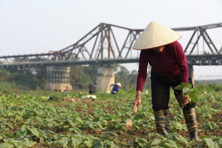 Không gian bãi bồi được cải tạo sạch đẹp sau thiên tai