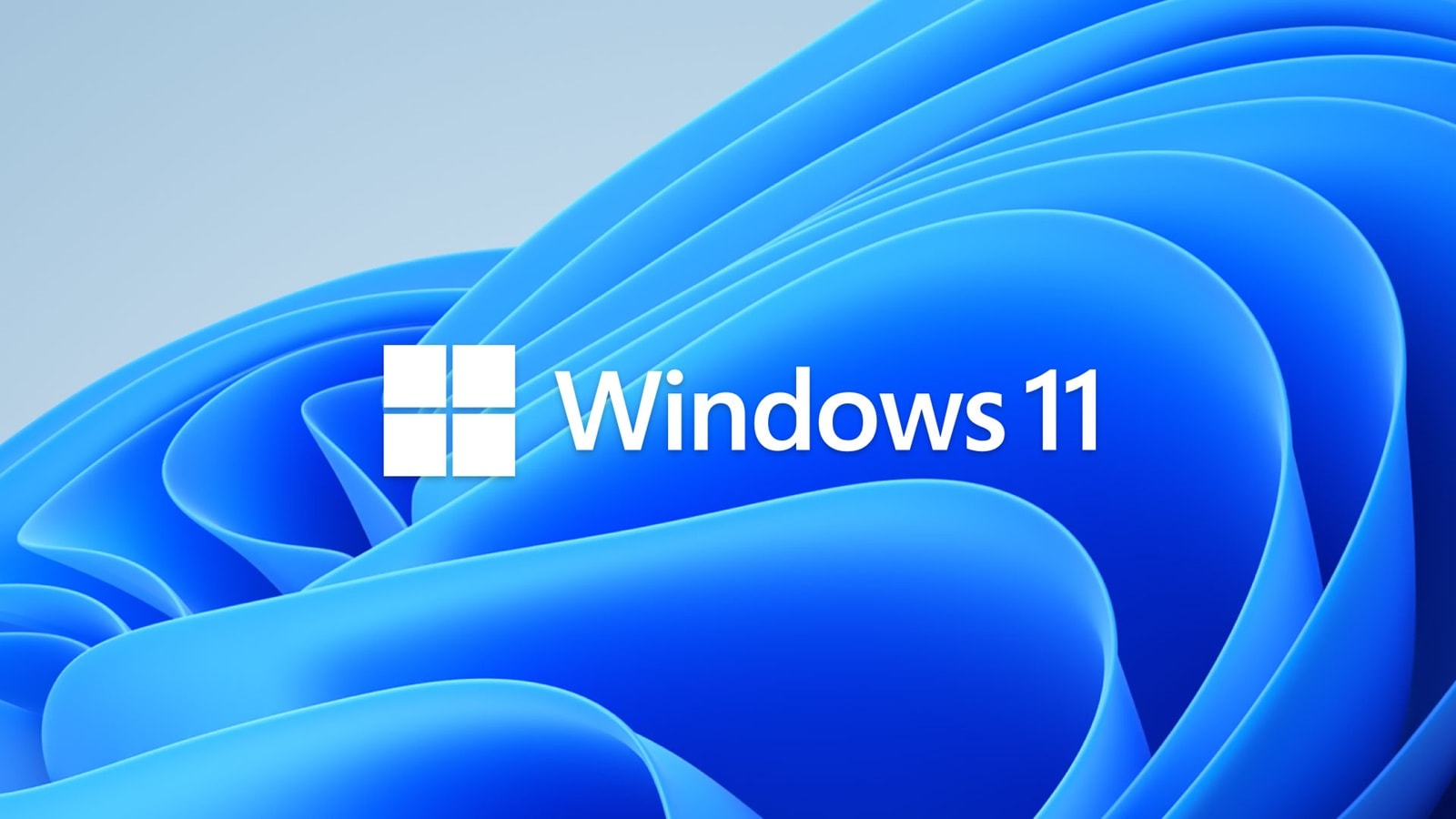 Logo chính thức của Microsoft Windows 11