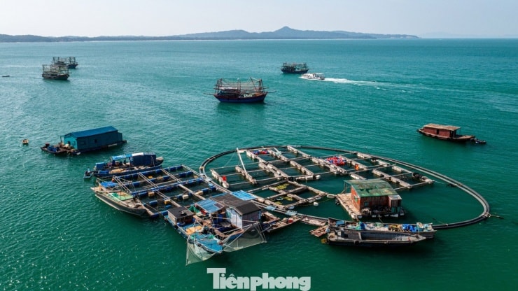 Phương tiện tàu cao tốc đưa khách từ đất liền và các đảo lân cận ra đảo Thanh Lân.