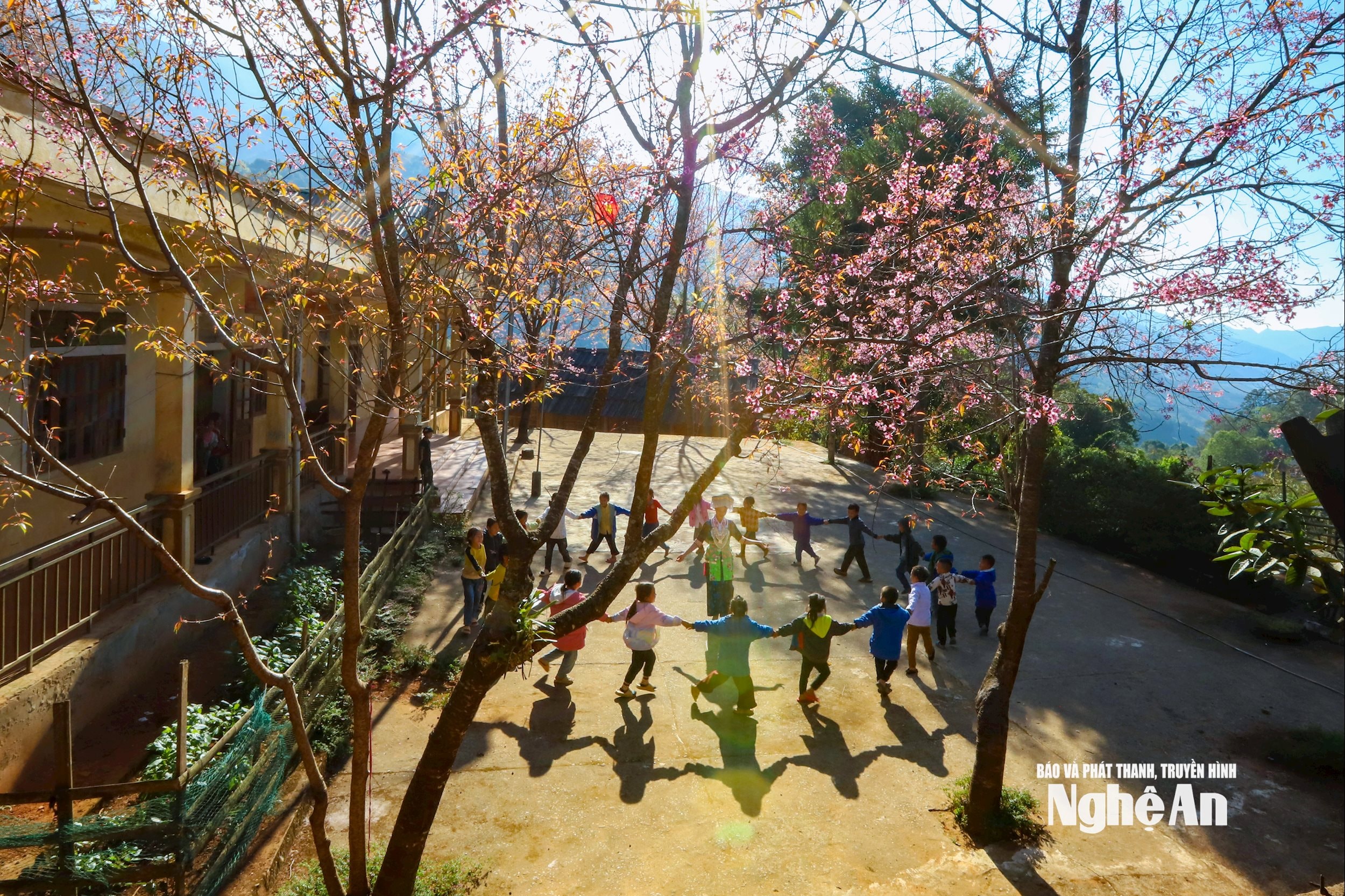 Cô trò Trường PTDTBT Tiểu học Mường Típ 1 vui chơi, lưu lại những khoảnh khắc hồn nhiên dưới những tán hoa anh đào khoe sắc giữa núi rừng. Ảnh: Công Sáng