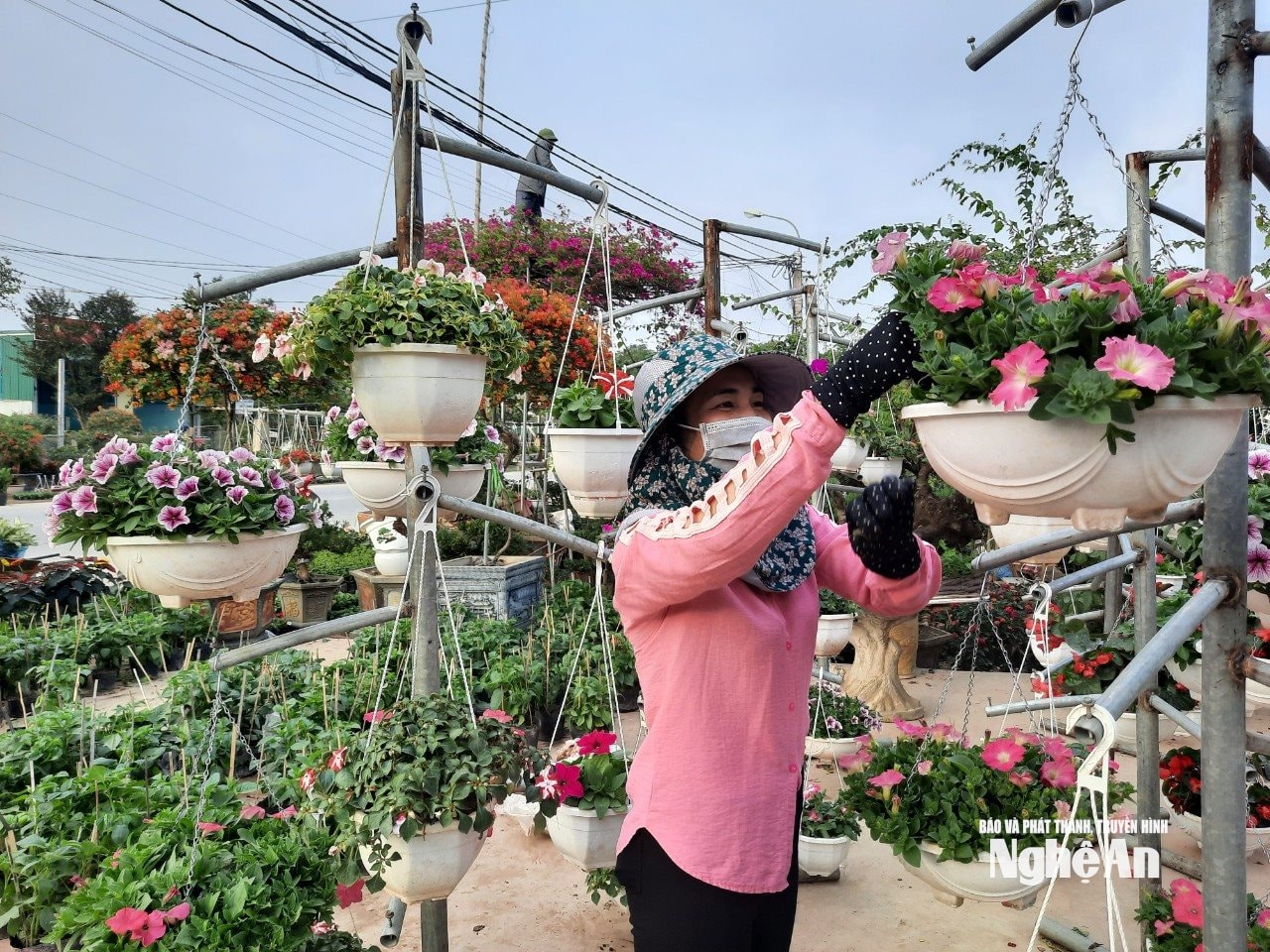 Người bán hàng chăm chút từng chậu hoa để bán Tết. Ảnh: T.P
