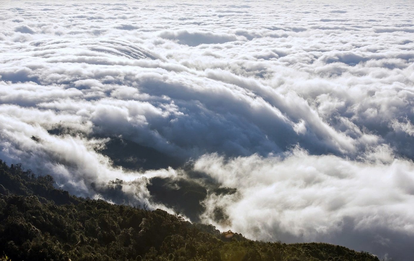 Thảm mây trắng bồng bềnh dưới đỉnh Chiêu Lầu Thi vào mùa săn mây.