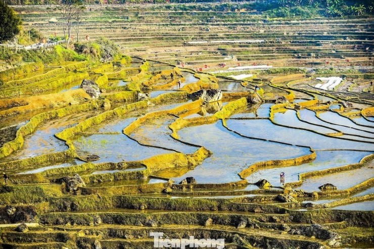 Nét đẹp dịu dàng của Pù Luông trong mùa đổ ải