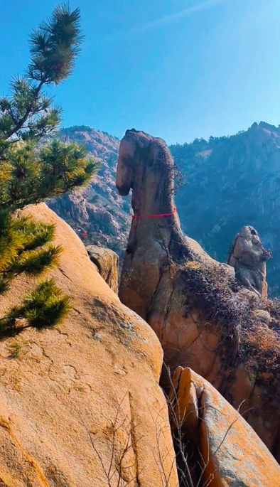 Tảng đá hình ngựa trên núi Đại Chu ở Thanh Đảo thu hút đông đảo khách tham quan dịp cuối năm