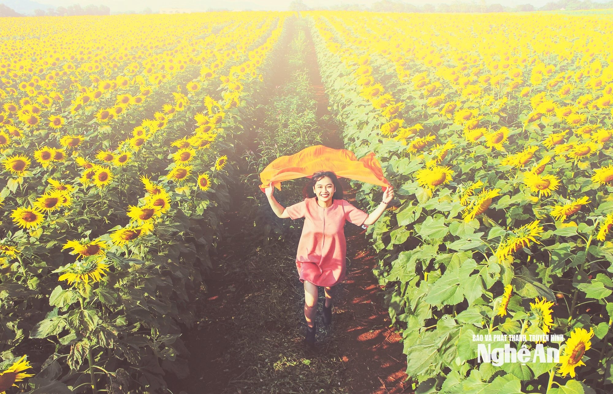 Đi về phía mặt trời. Ảnh Công Sáng