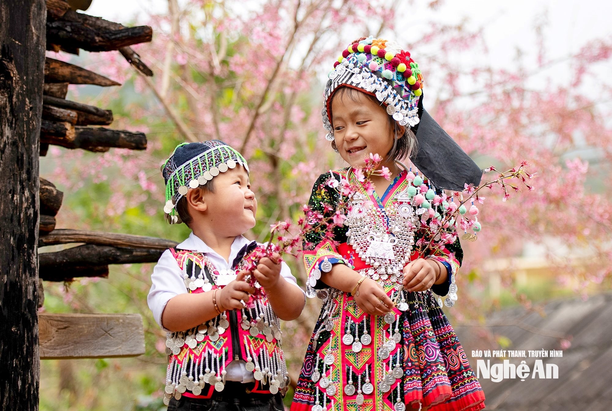 Mùa hoa đào rừng. Ảnh Quang Dũng