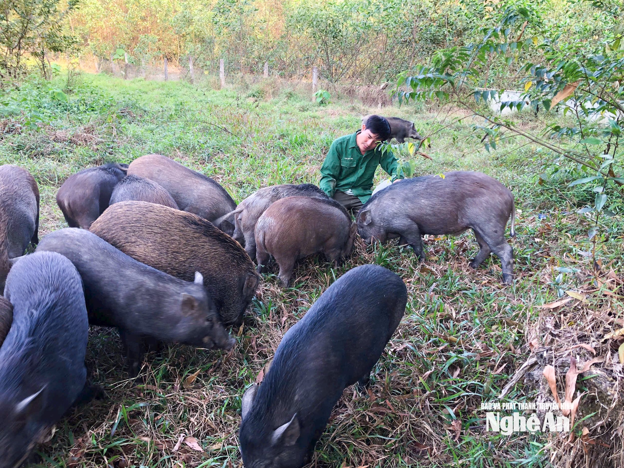 l را محاسبه کنید