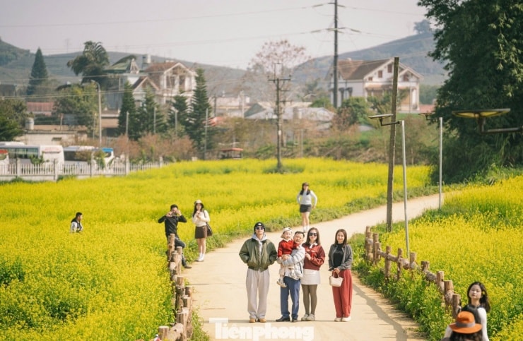 Du khách trải nghiệm và chụp ảnh tại vườn hoa cải