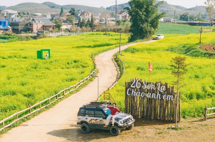 Mùa hoa cải vàng tại Mộc Châu mang vẻ đẹp dung dị và đầy sức sống