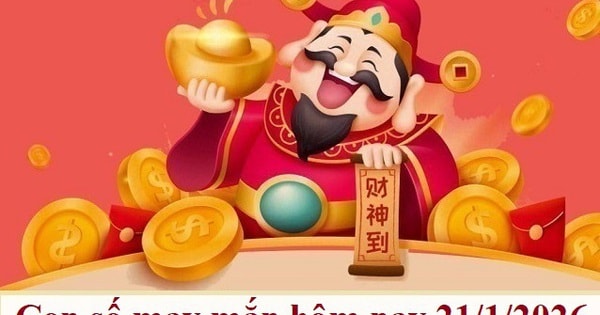 Bảng con số may mắn ngày 21/1 cho 12 con giáp và cung hoàng đạo