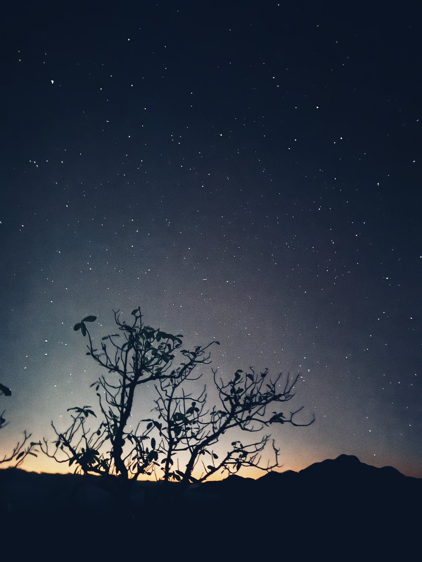 Toàn cảnh vùng núi Tây Bắc hùng vĩ nhìn từ đỉnh Ngũ Chỉ Sơn với những dãy núi nhấp nhô giữa tầng mây.