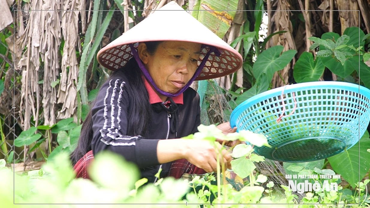  Chị hiền chồng chất những nỗi lo khi bệnh tật không buông tha mẹ con chị