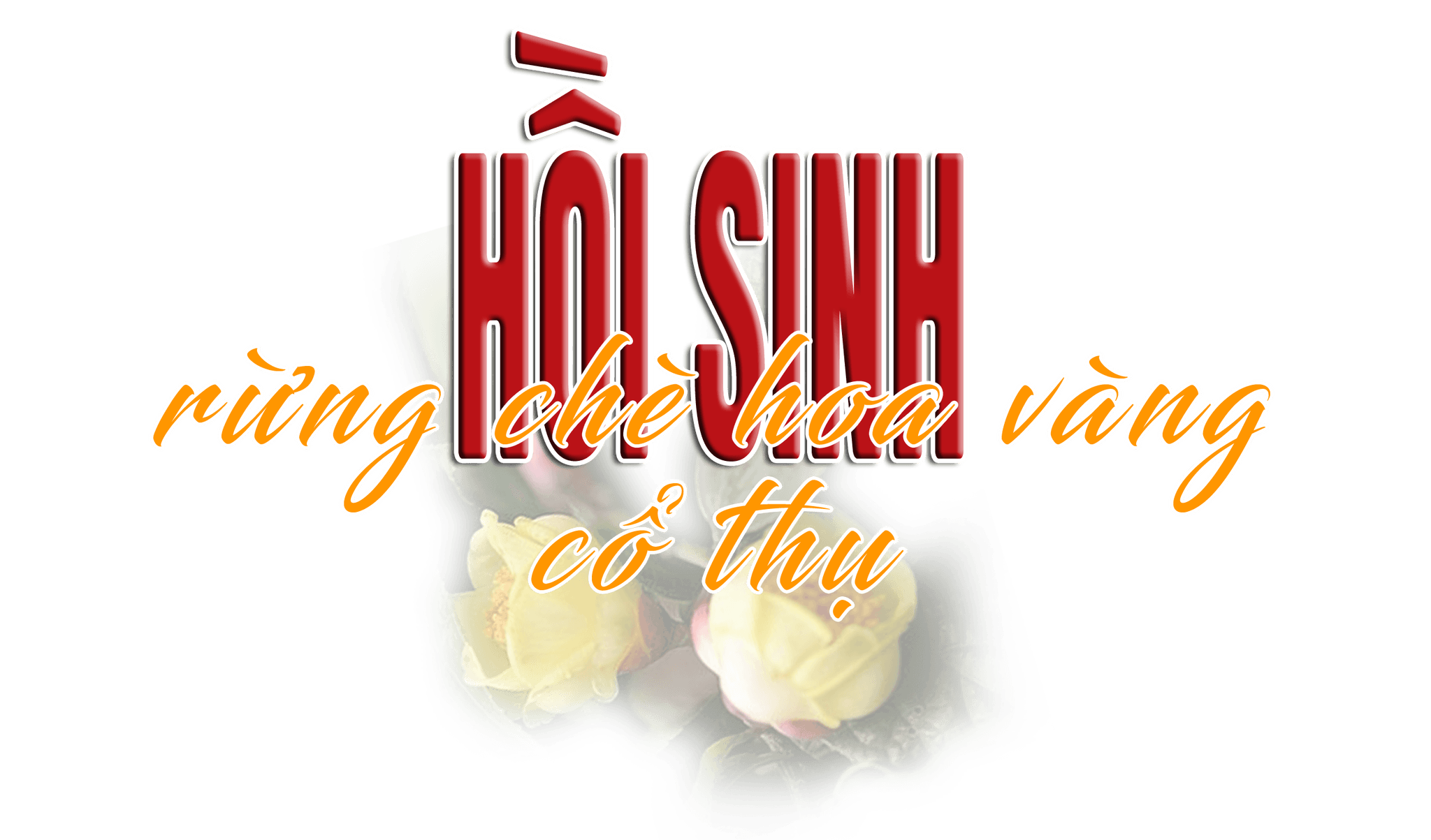 titphu1.png