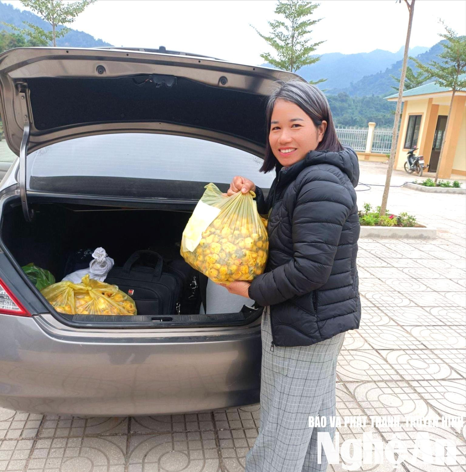 Từ việc quảng bá trên mạng xã hội, chị Bùi Thị Lan- cán bộ xã Nhôn Mai đã hỗ trợ người dân tiêu thụ chè hoa vàng. Ảnh CSCC