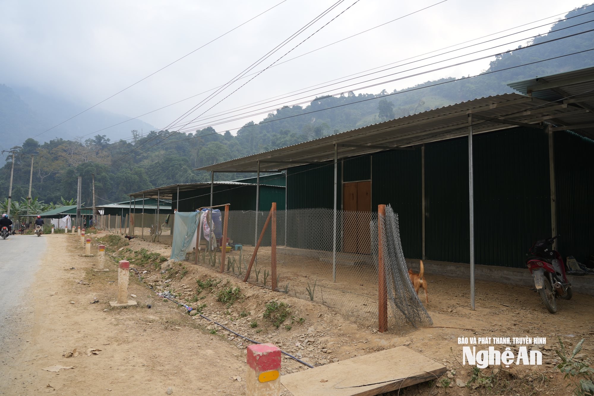 5 hộ bản Phá Mựt đã ổn định cuộc sống ở nơi mới