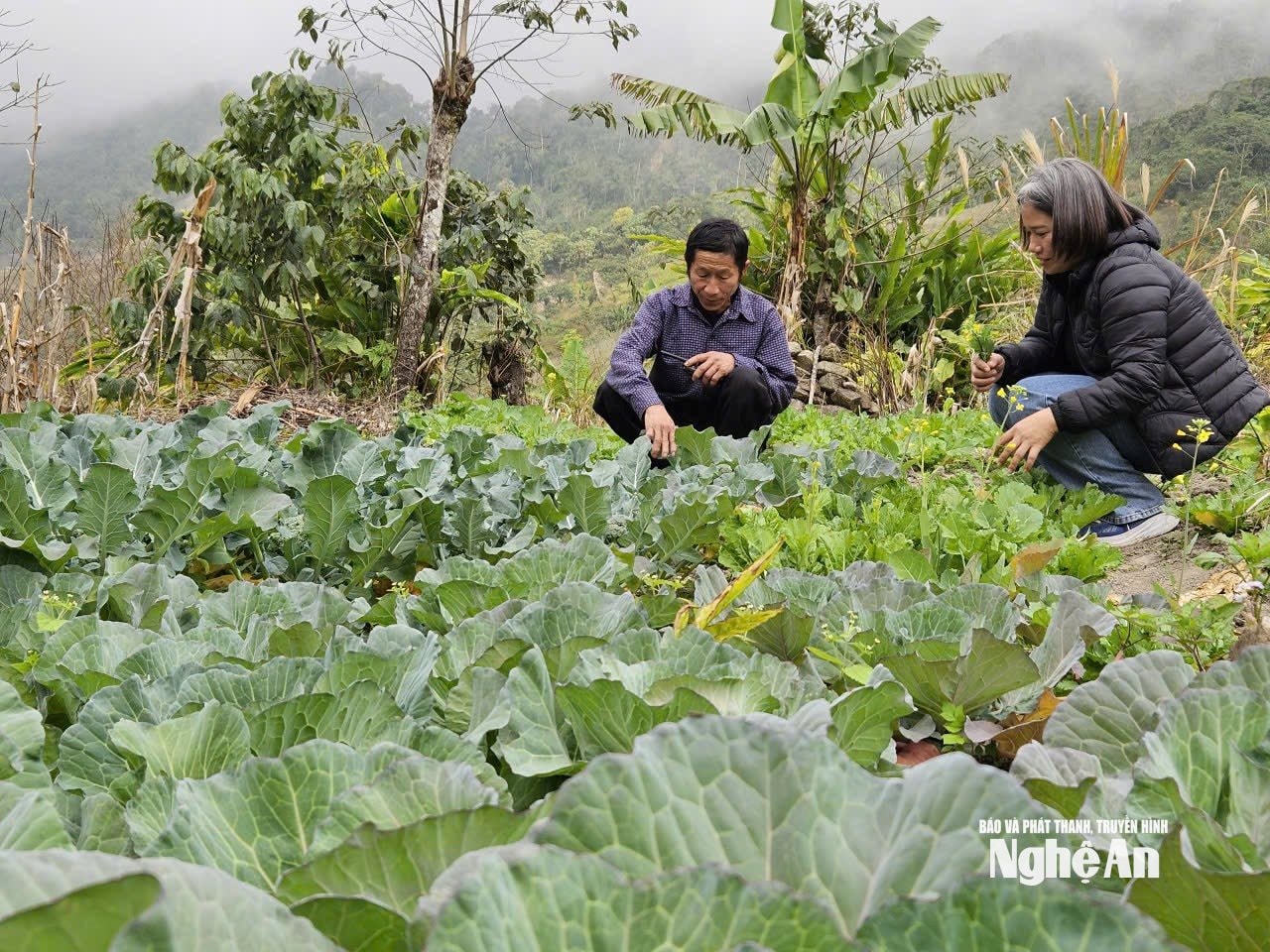 Cán bộ xã luôn đồng hành cùng bà con trong tái thiết sinh kế sau lũ. Ảnh_ TP