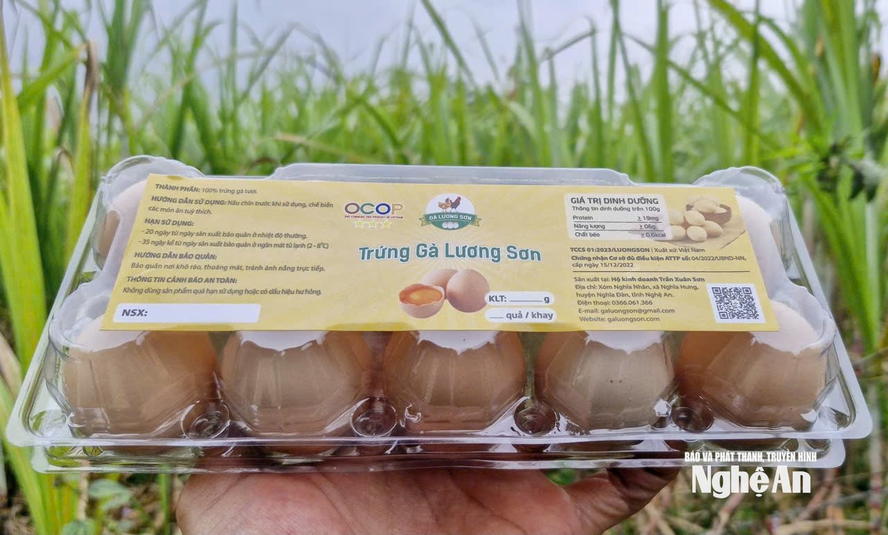Sản phẩm trứng gà OCOP 3 sao của Trang trại Lương Sơn chuẩn bị đưa ra thị trường. Ảnh: Nhật Lân