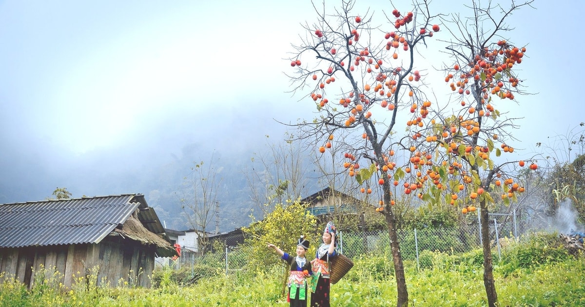 uploaded-hoaithubna-2023_01_31-_bna-muong-long-tro-nen-huyen-ao-quyen-ru-trong-mua-dong7266947-1212021-8680.jpeg