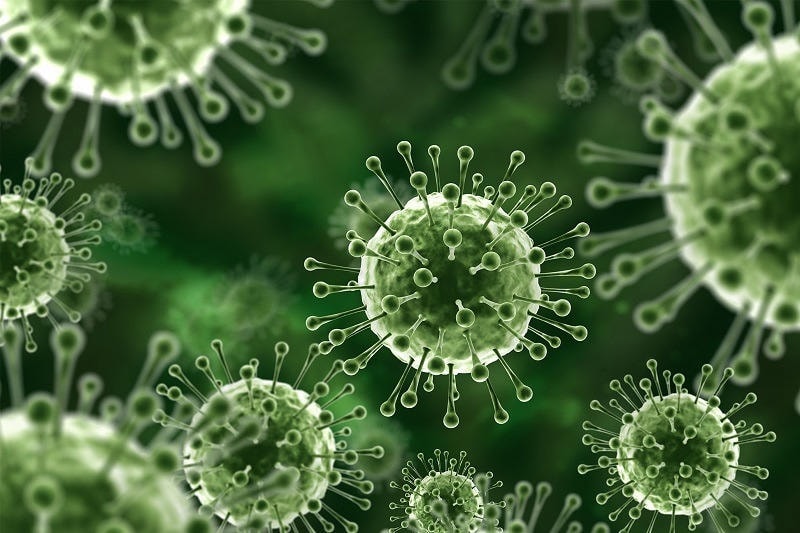 Virus Nipah chưa có vaccine hay thuốc đặc trị theo WHO