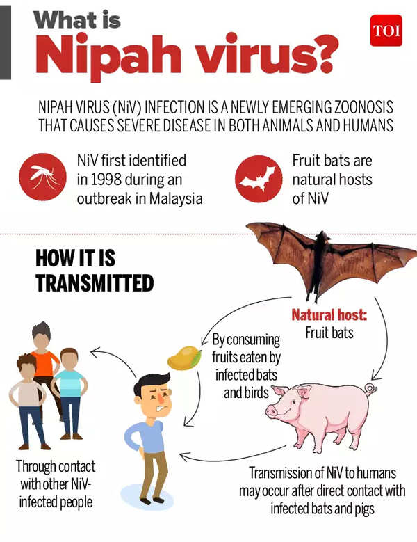 Nipah virus outbreak has been reported in Kerala UPSC