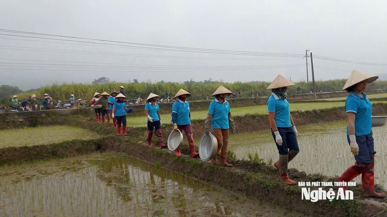 châu khê phụ nữ