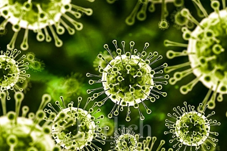 Nipah có tỷ lệ tử vong cao và để lại di chứng nặng nề.