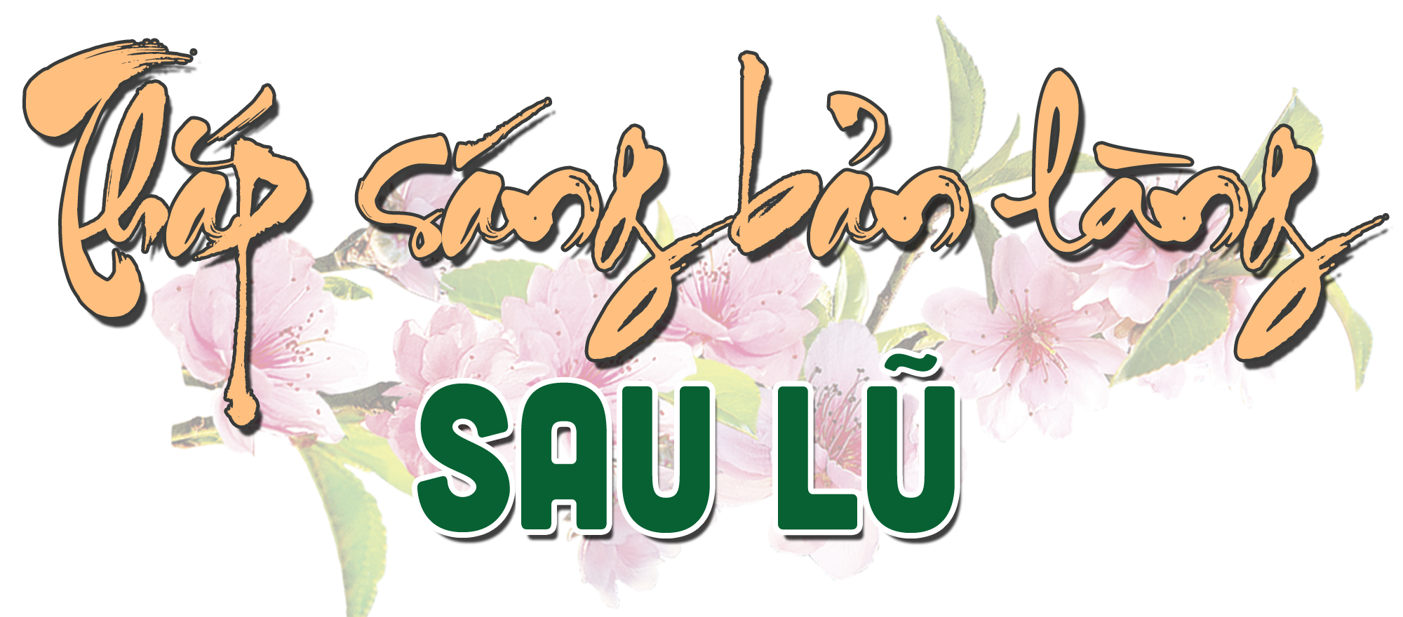 titphu2(1).png