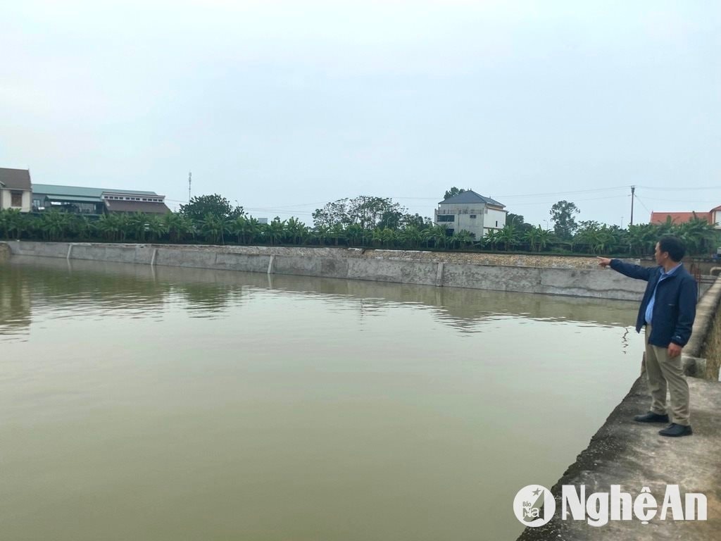 bna_van-truong-mu-496277dbc96d6ab2dbdda0364a547b6f.jpeg