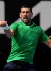 Djokovic thi đấu tại bán kết Australian Open