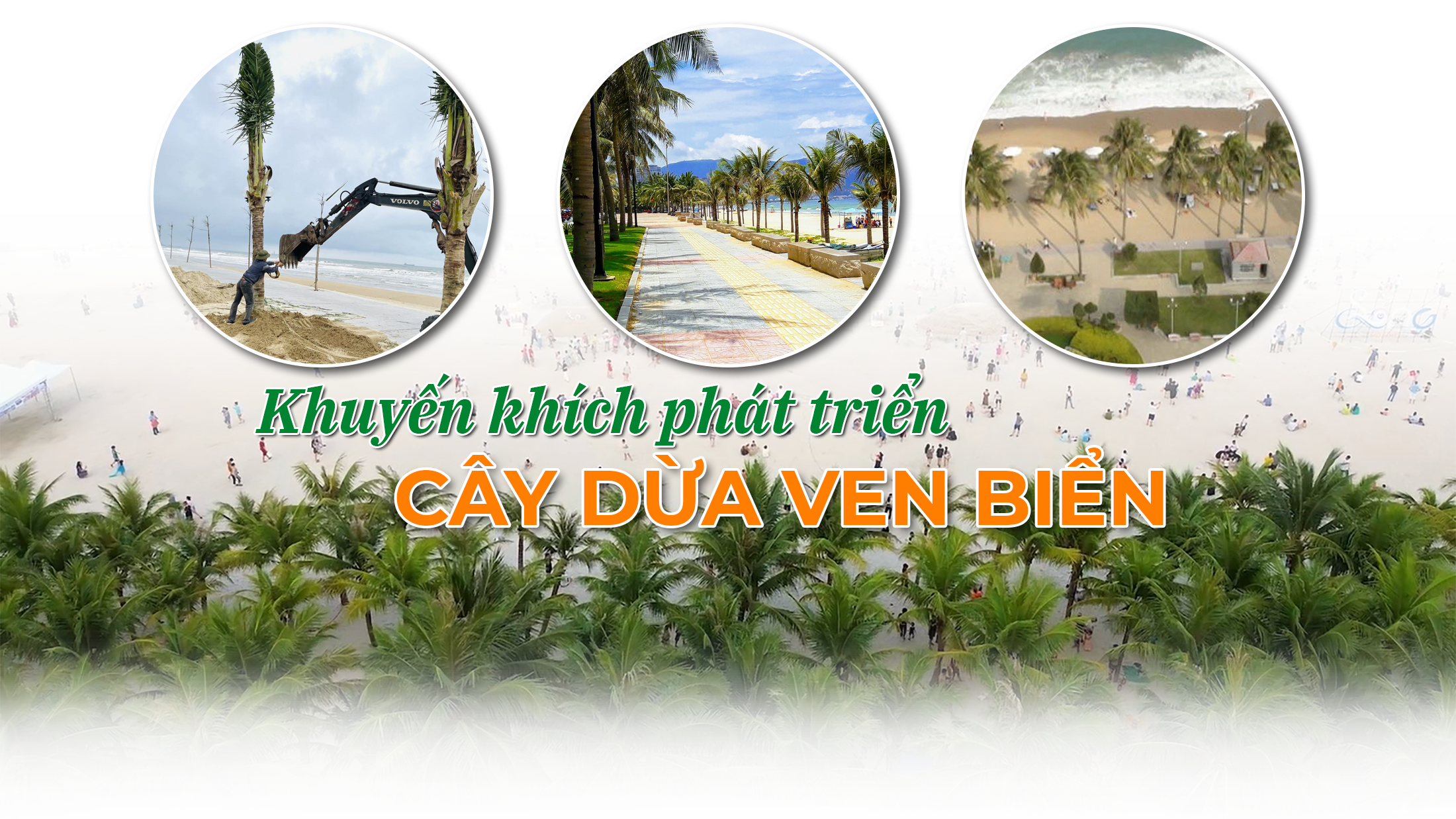 trongduavenbien-cover(1).png
