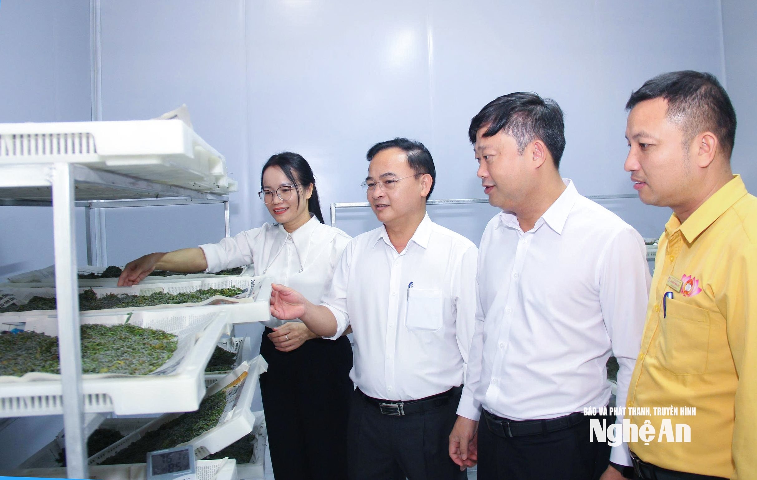  Cán bộ xã Thuần Trung kiểm tra mô hình nuôi và cung ứng giống tằm trên địa bàn. Ảnh Mai Hoa