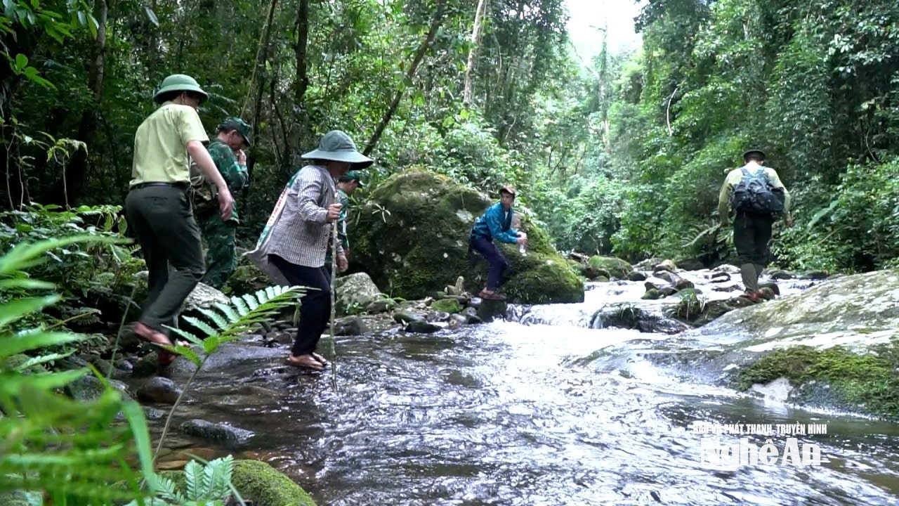 Người dân xã biên giới Hạnh Dịch cùng Khu BTTN Pù Hoạt tuần tra bảo vệ rừng. Ảnh: Thành Cường
