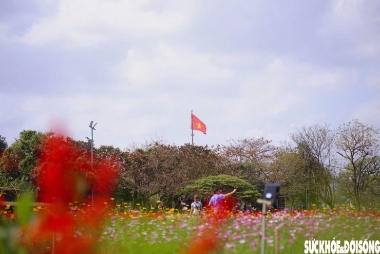 Không gian lễ hội rực rỡ sắc hoa sẵn sàng chào đón du khách dịp Tết 2026.