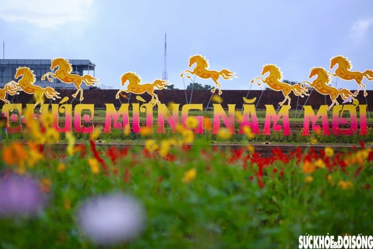 Linh vật ngựa cùng dòng chữ Chúc mừng năm mới nổi bật bên tường thành rêu phong.