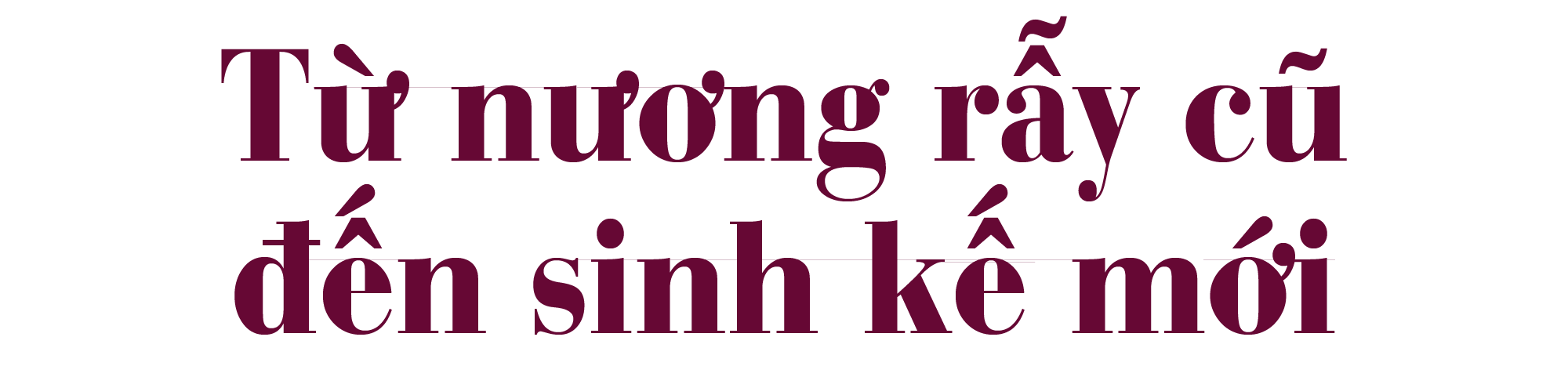 titphu1(1).png