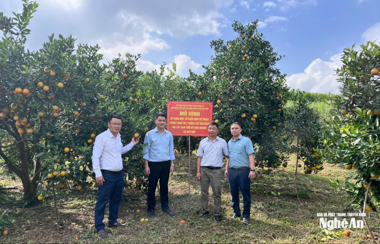 anh-bui-van-trong-cung-cac-ky-su-trung-tam-ung-dung-tien-bo-khcn-nghe-an-tai-vuon-cam-o-tam-hop-copy(1).jpg